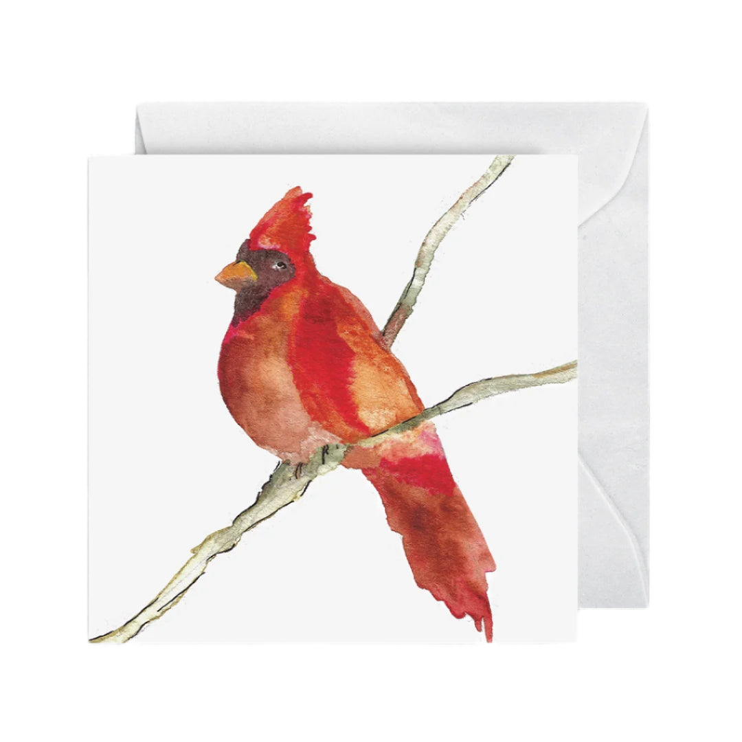 Enclosure Card - Cardinal