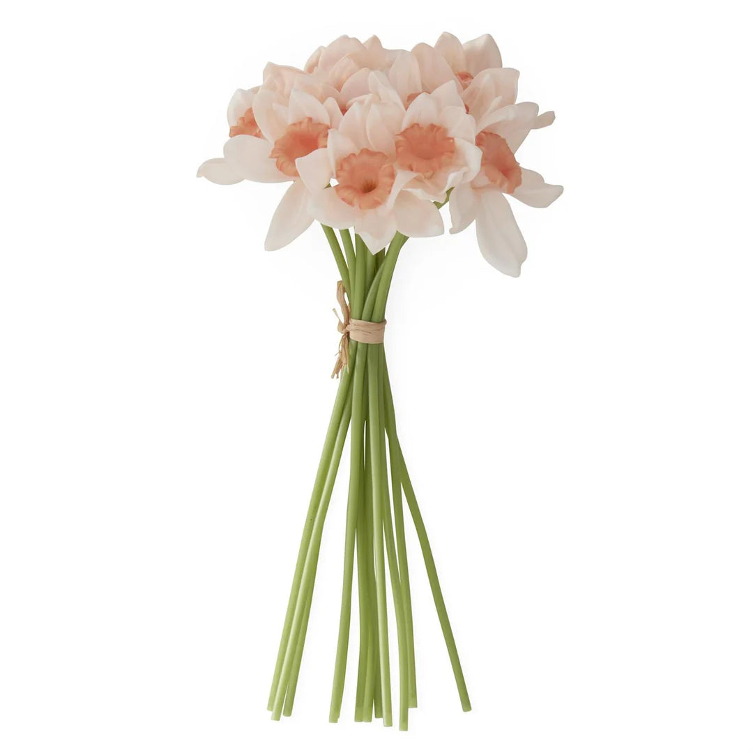 Peach Daffodil Bundle S/12 - 11"