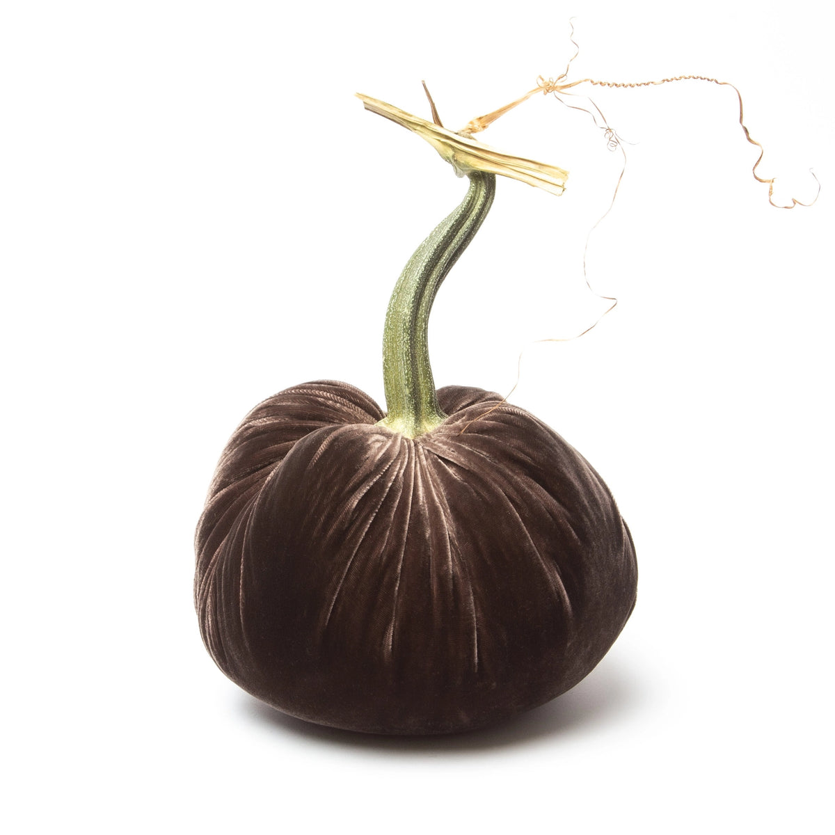 Velvet Pumpkin - Espresso/6"