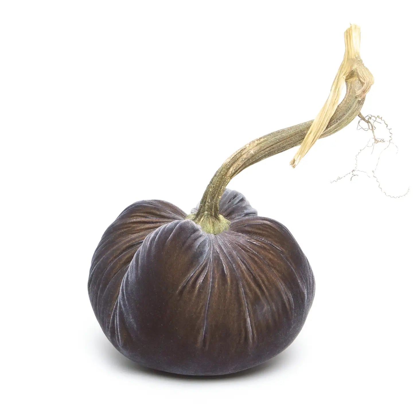 Velvet Pumpkin - Graphite/6"