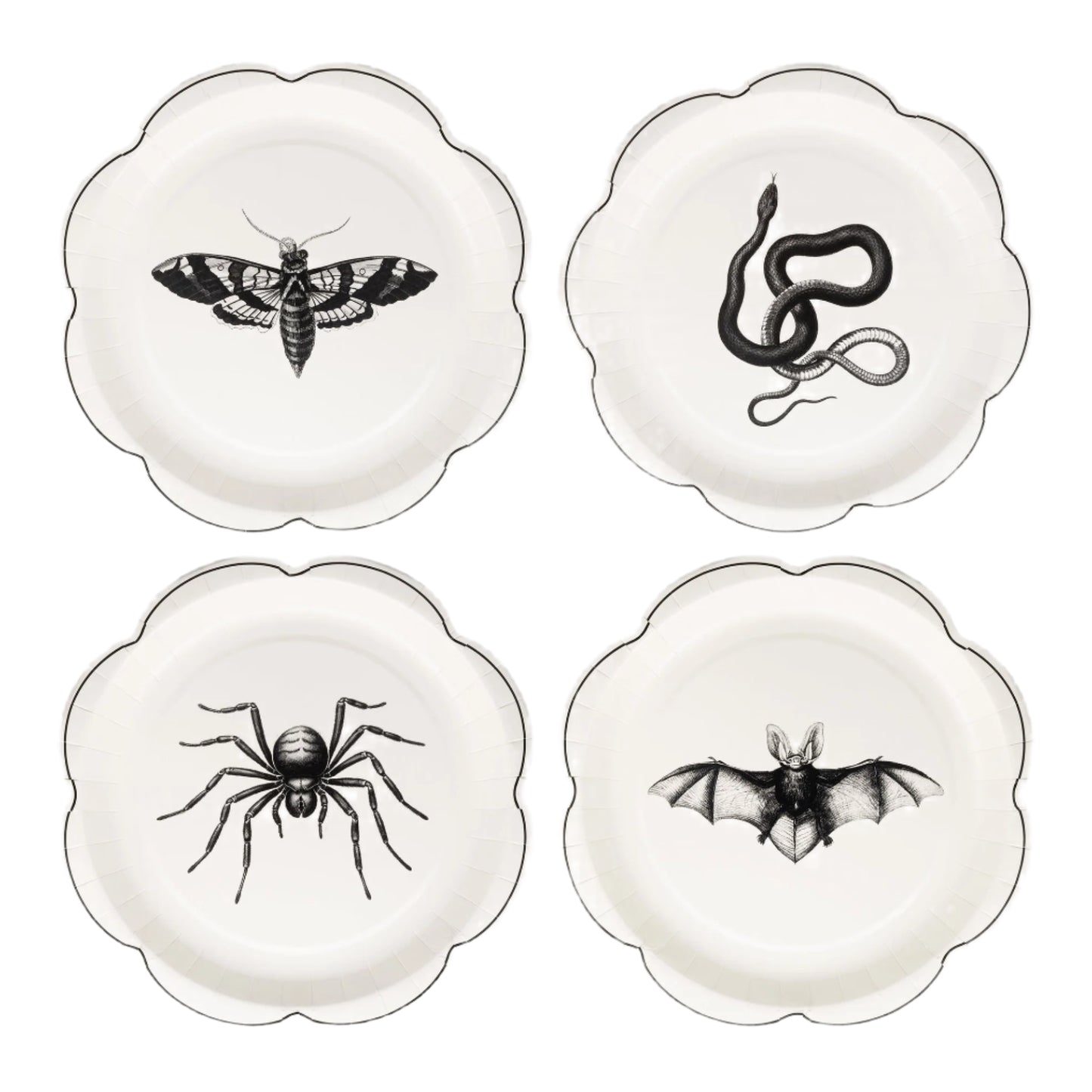 Paper Plate (Large) - Apothecary
