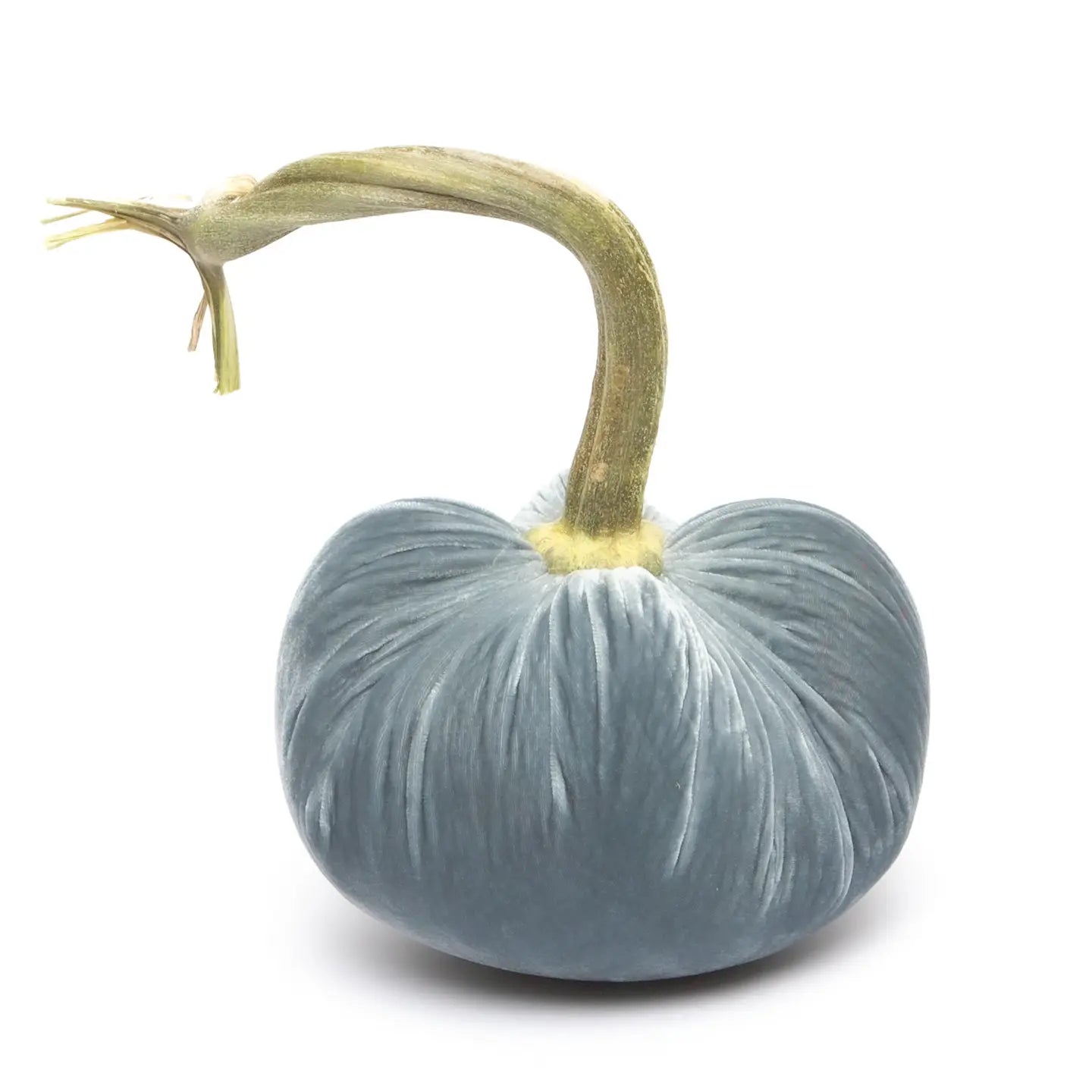 Velvet Pumpkin - Dusty Blue/6"