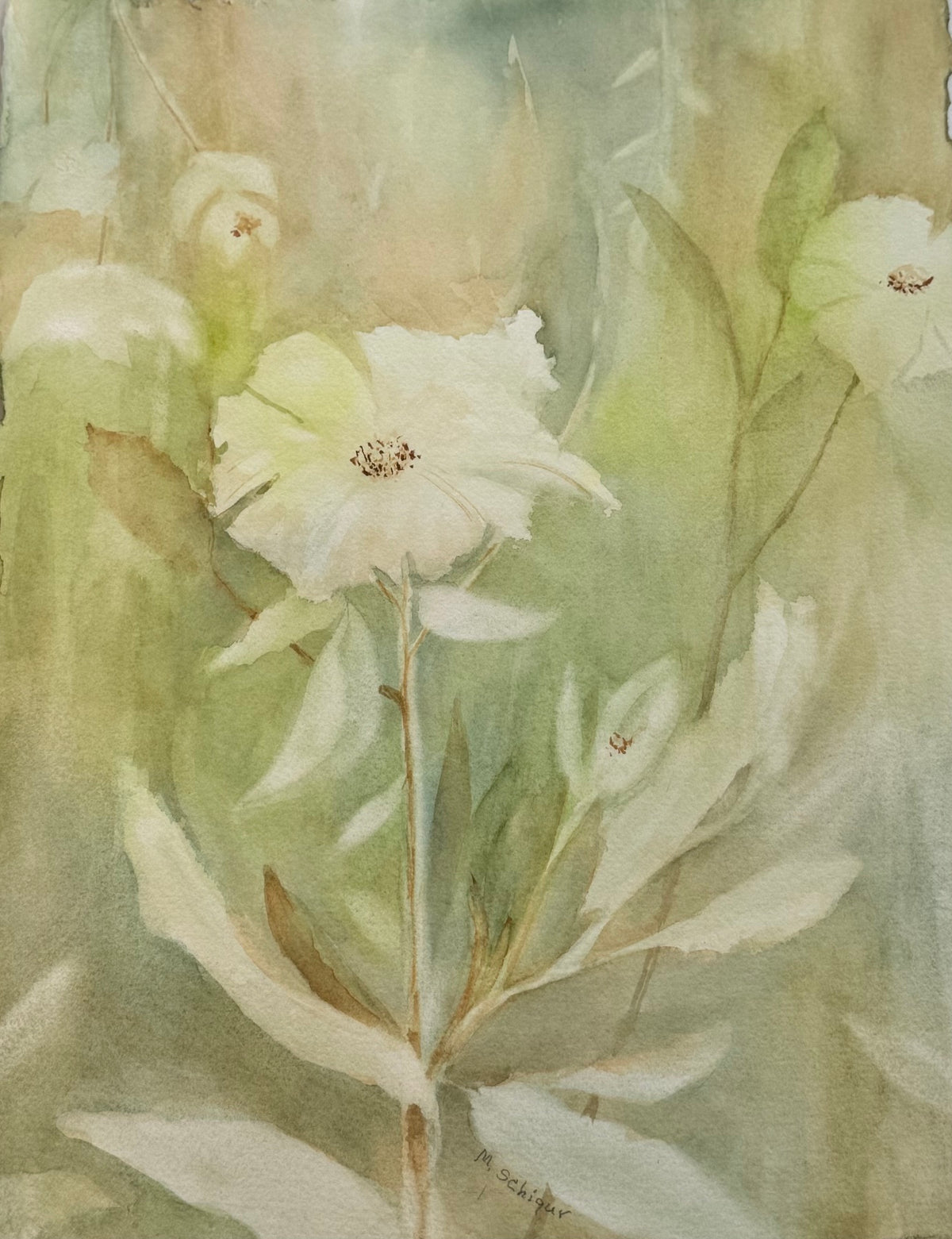 Citron Floral - Original