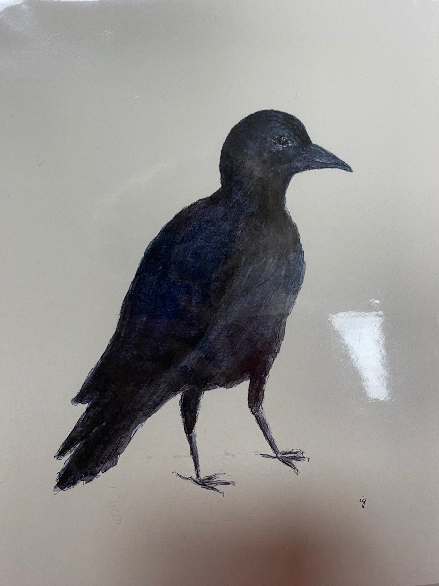 Art Print - Crow