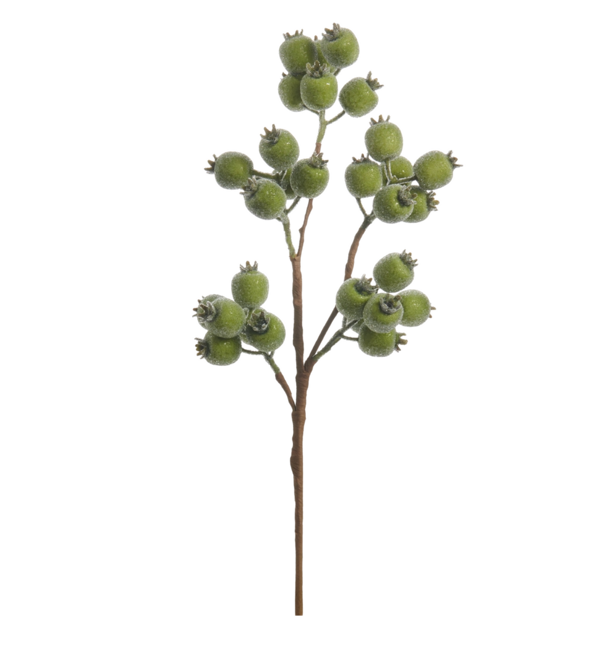 Frosted Green Berry Spray