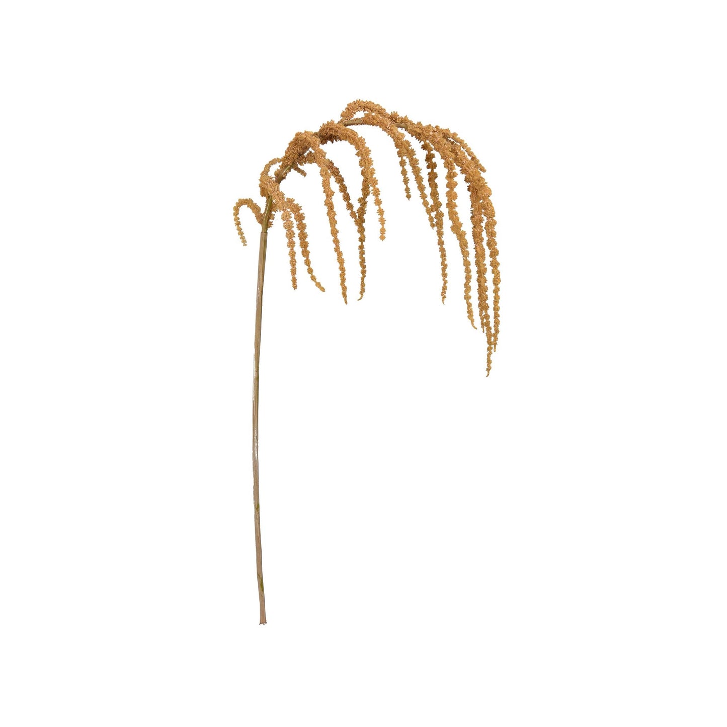 Hanging Amaranthus Spray - Honey