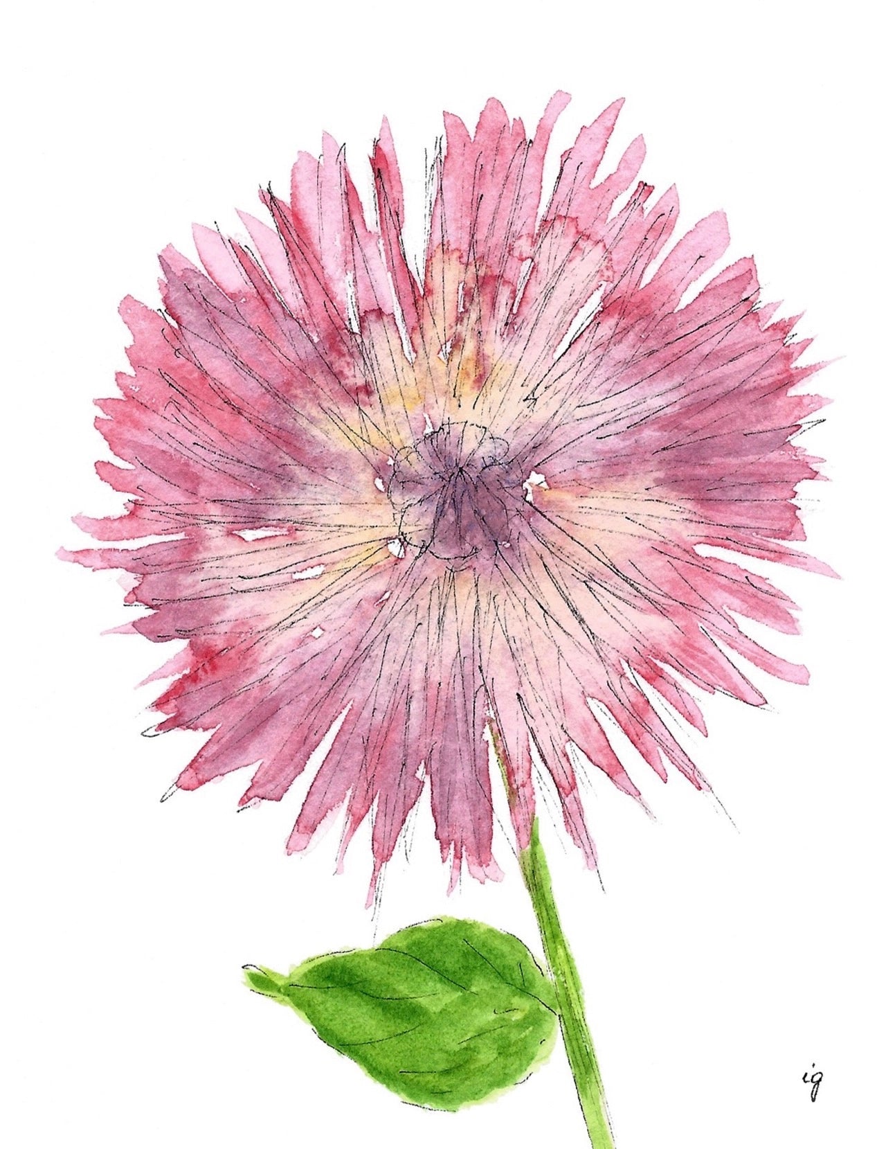 Card - Dahlia