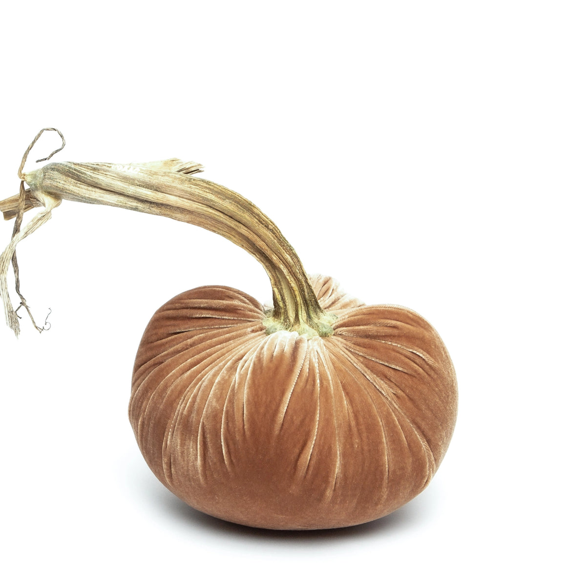 Velvet Pumpkin - Latte/8"