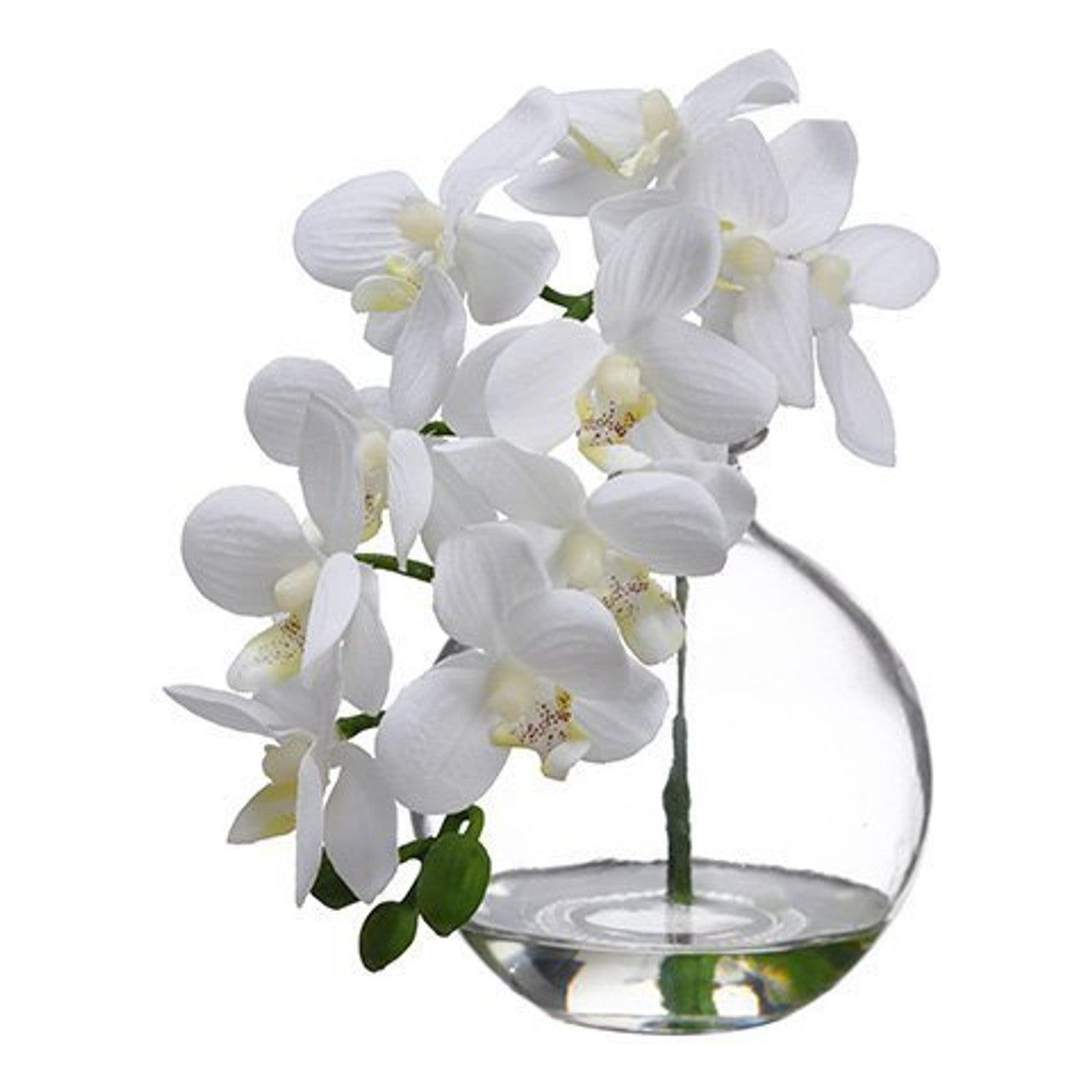 Small Orchid - White