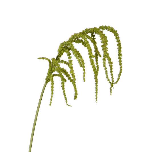 Amaranthus Hanging Spray