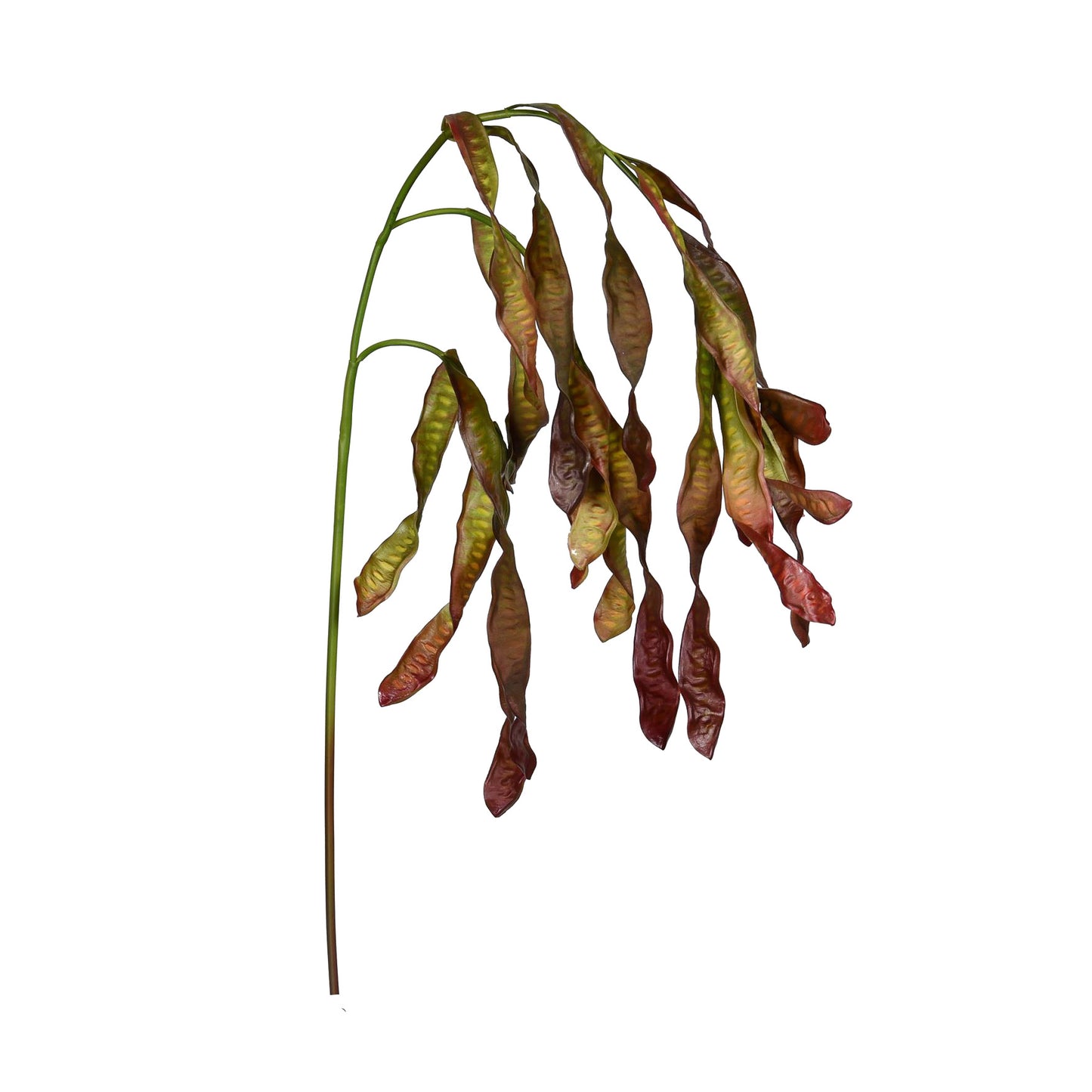 Hanging Seed Leaves Spray