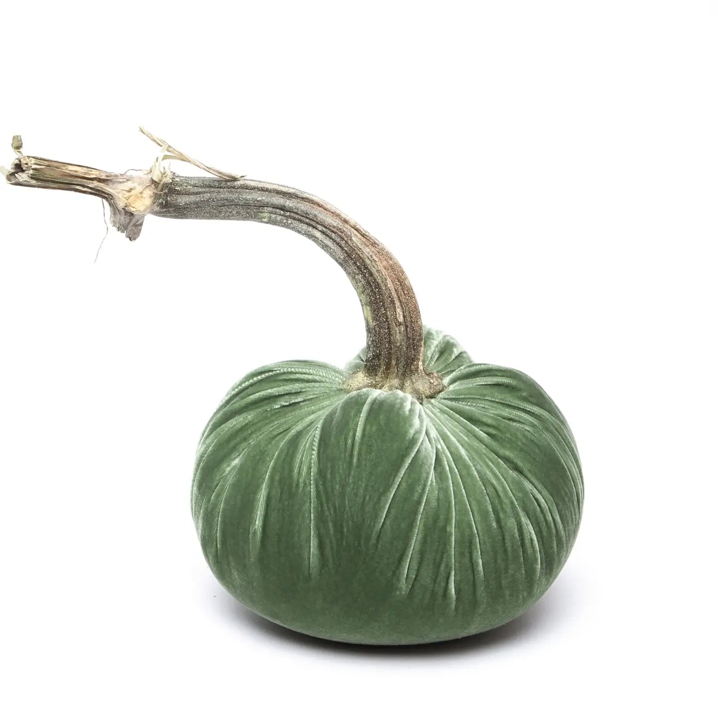 Velvet Pumpkin - Sage/6"
