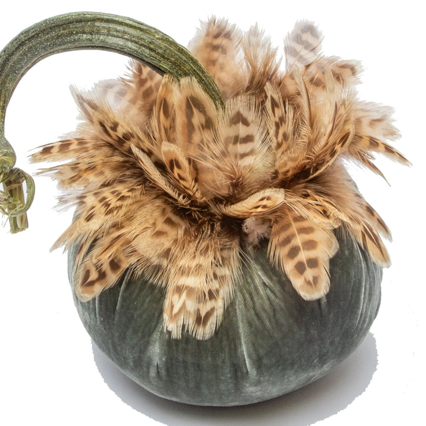 Velvet Pumpkin/Feathers - Willow/6"