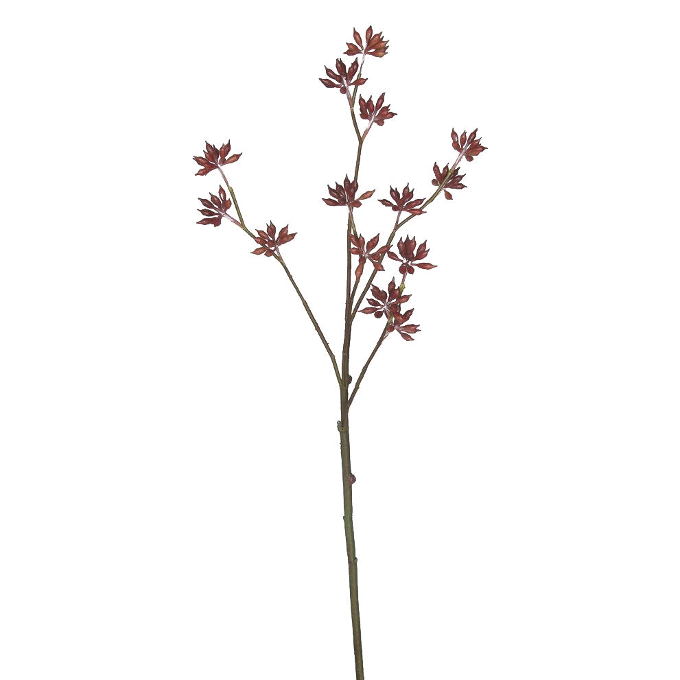 Eucalyptus Bud Spray
