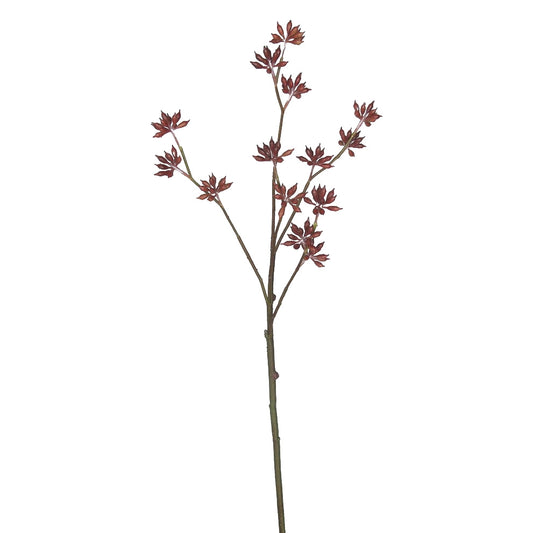 Eucalyptus Bud Spray