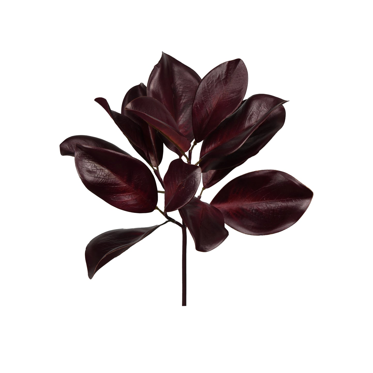 Merlot Magnolia Leaf Spray