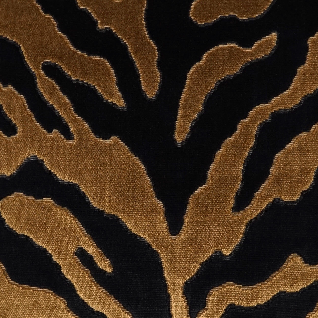 Zoolander Doublesided - 14x42