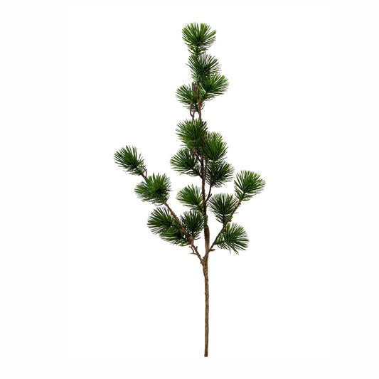 Needle Pine Spray