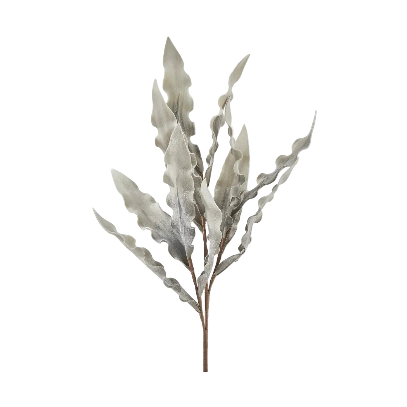 Gray Wavy Leaf Spray
