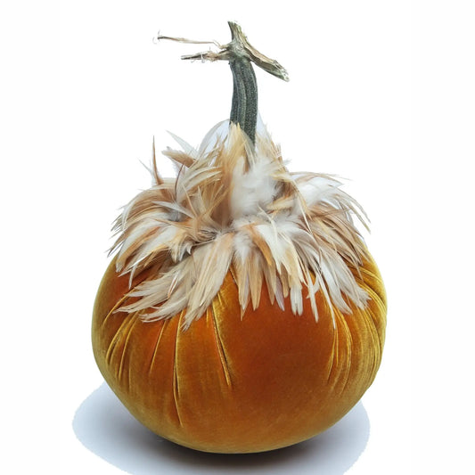 Velvet Pumpkin/Feathers - Spice/8"