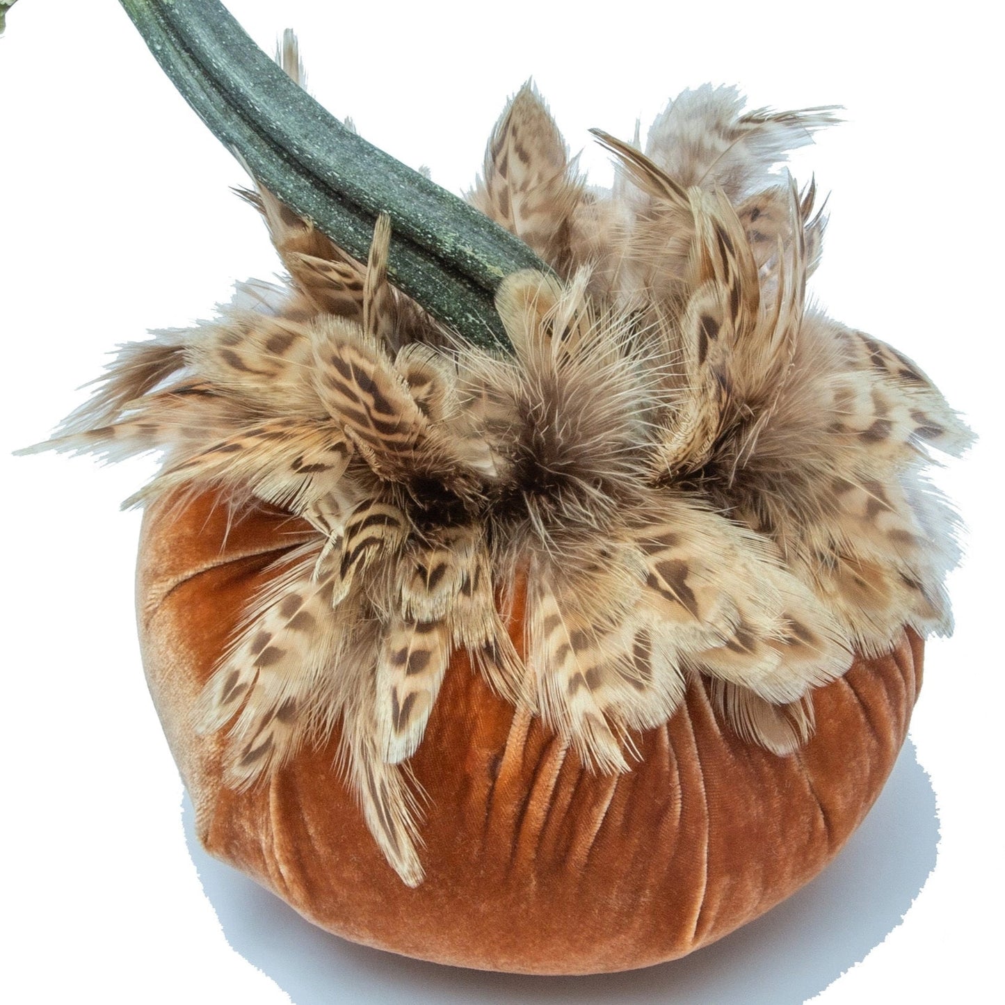Velvet Pumpkin/Feathers - Spice/6"