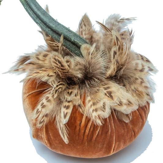 Velvet Pumpkin/Feathers - Spice/6"