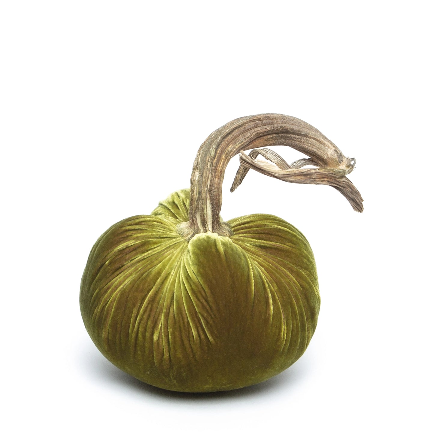 Velvet Pumpkin - Olive/10"