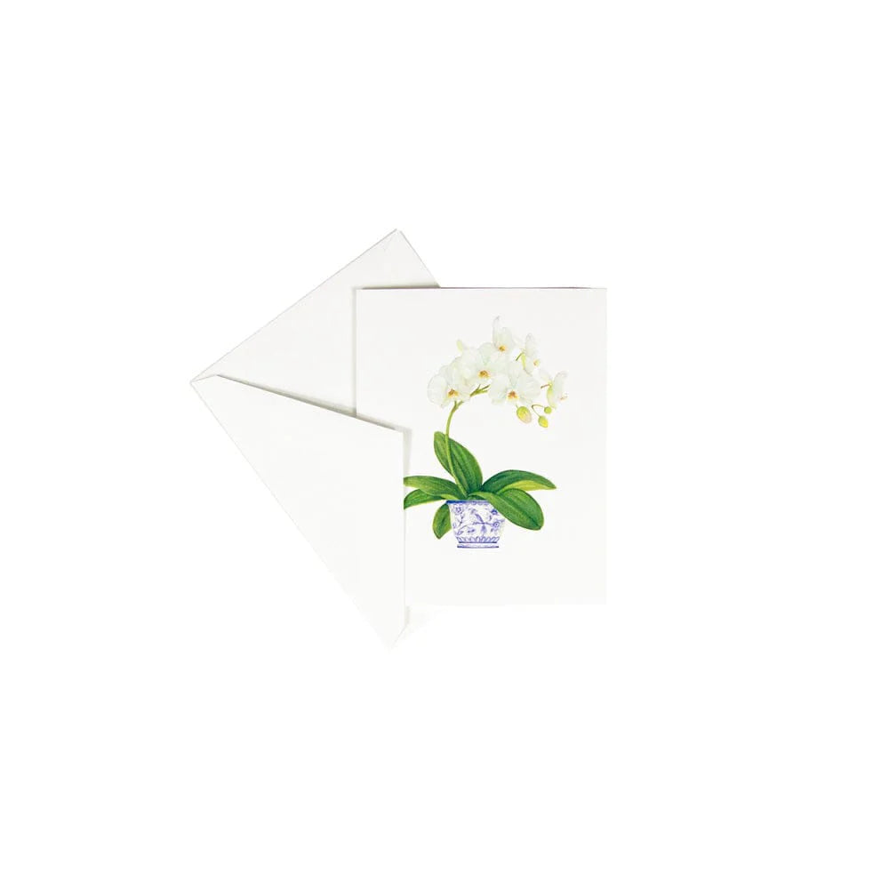 Notecards - Assorted Orchids