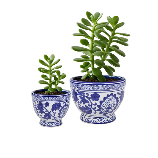 Blue/White Chinoiserie Planter