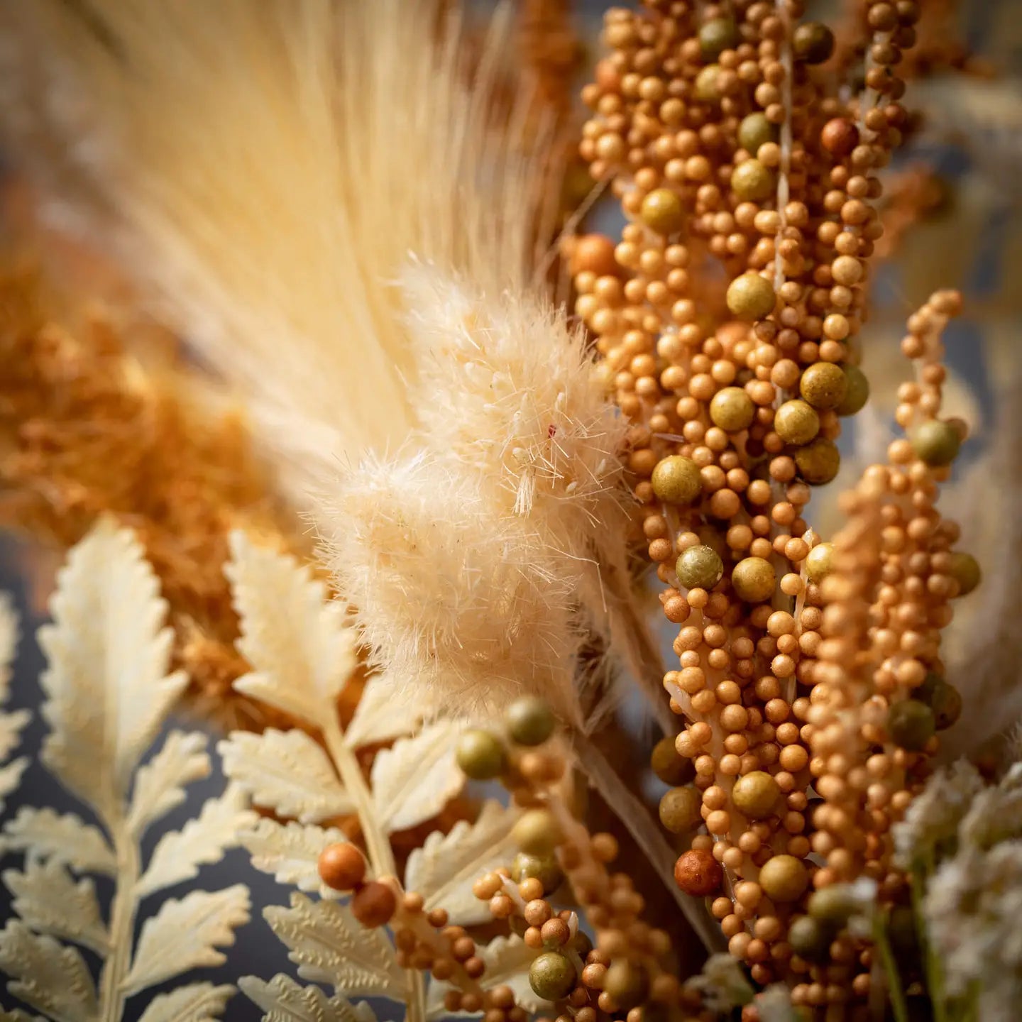 Dried Pampas Orb