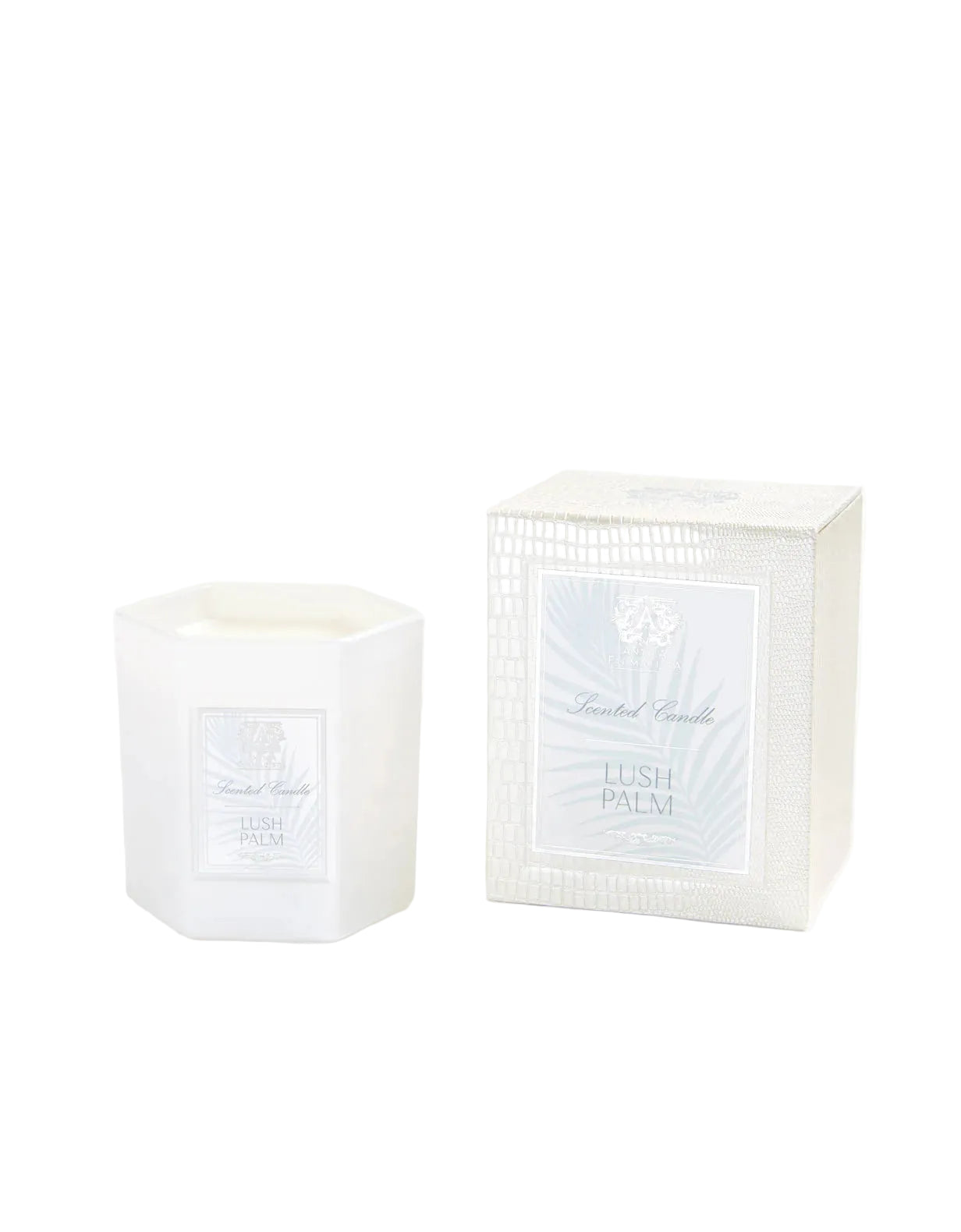 Lush Palm - 1 Wick Candle