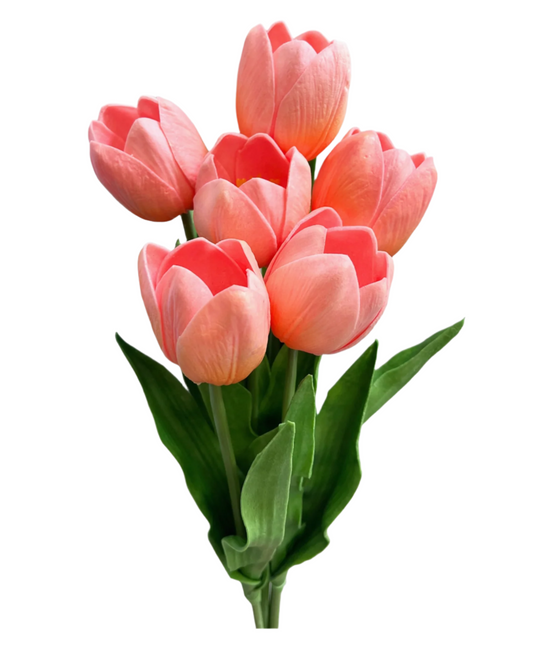 Pink Tulip Bundle S/6 - 20"