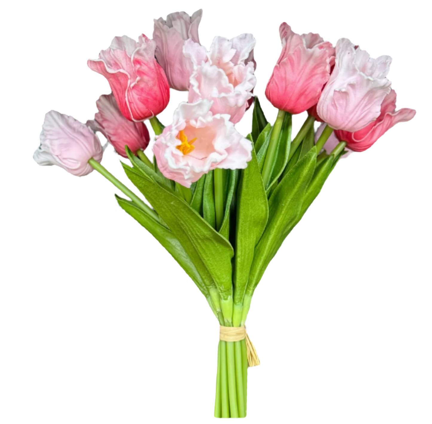 Pink Mixed Tulip Bundle S/12 - 14"