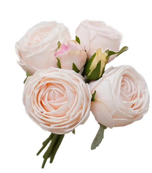 Champagne Rose Bundle S/6