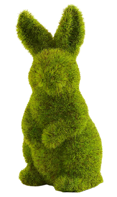 Standing Moss Bunny