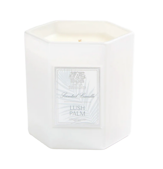 Lush Palm - 1 Wick Candle