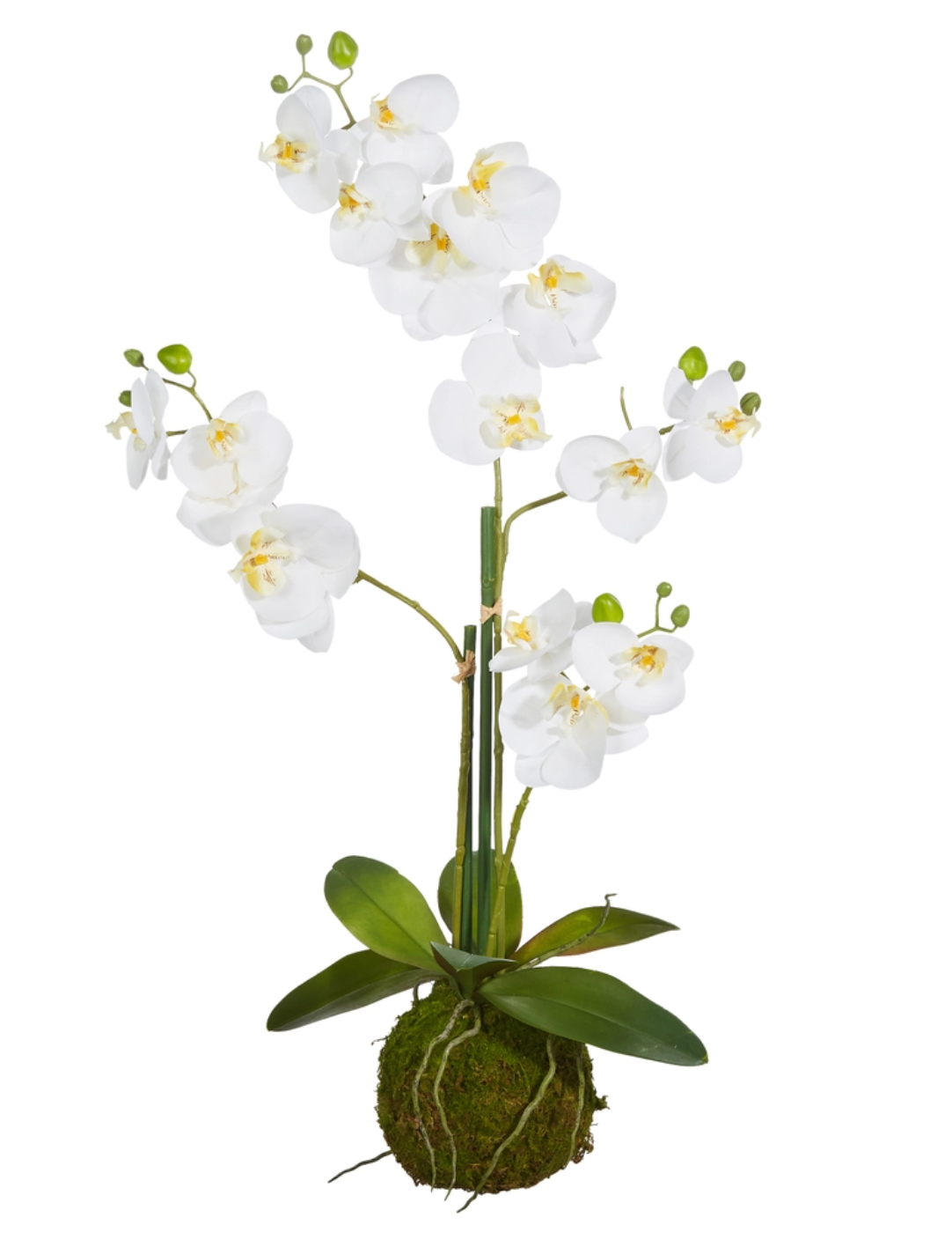 White Orchid Moss Drop-in - 31"