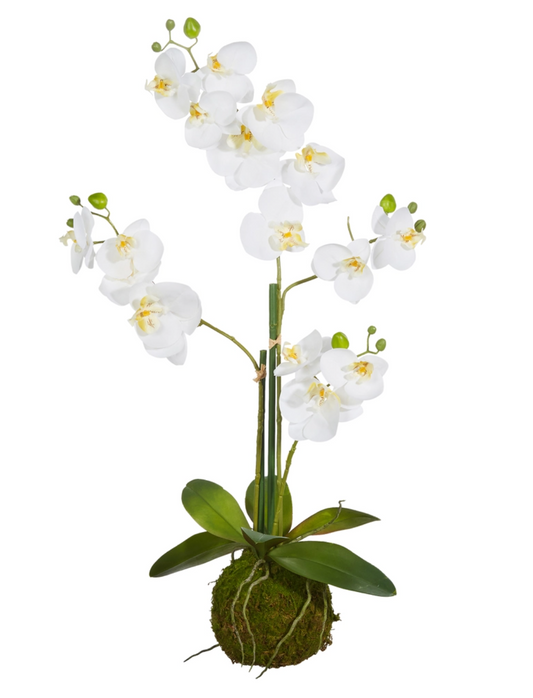 White Orchid Moss Drop-in - 31"