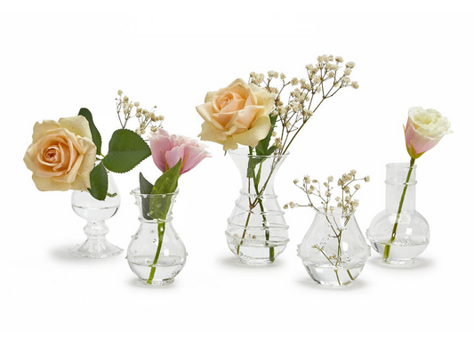Mini Handblown Glass Bud Vases S/5