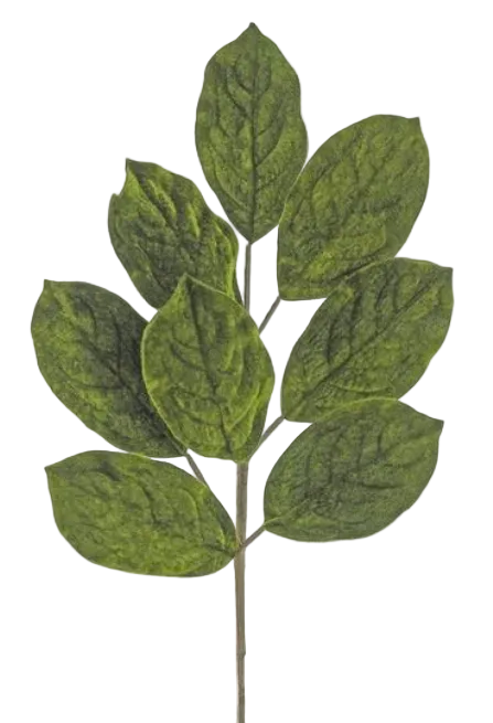 Velvet Magnolia Leaf Spray