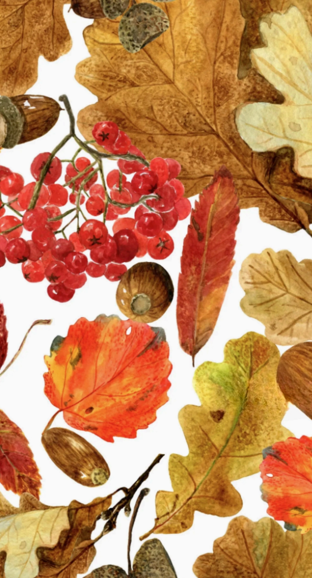 Guest Napkin - Autumn Foliage