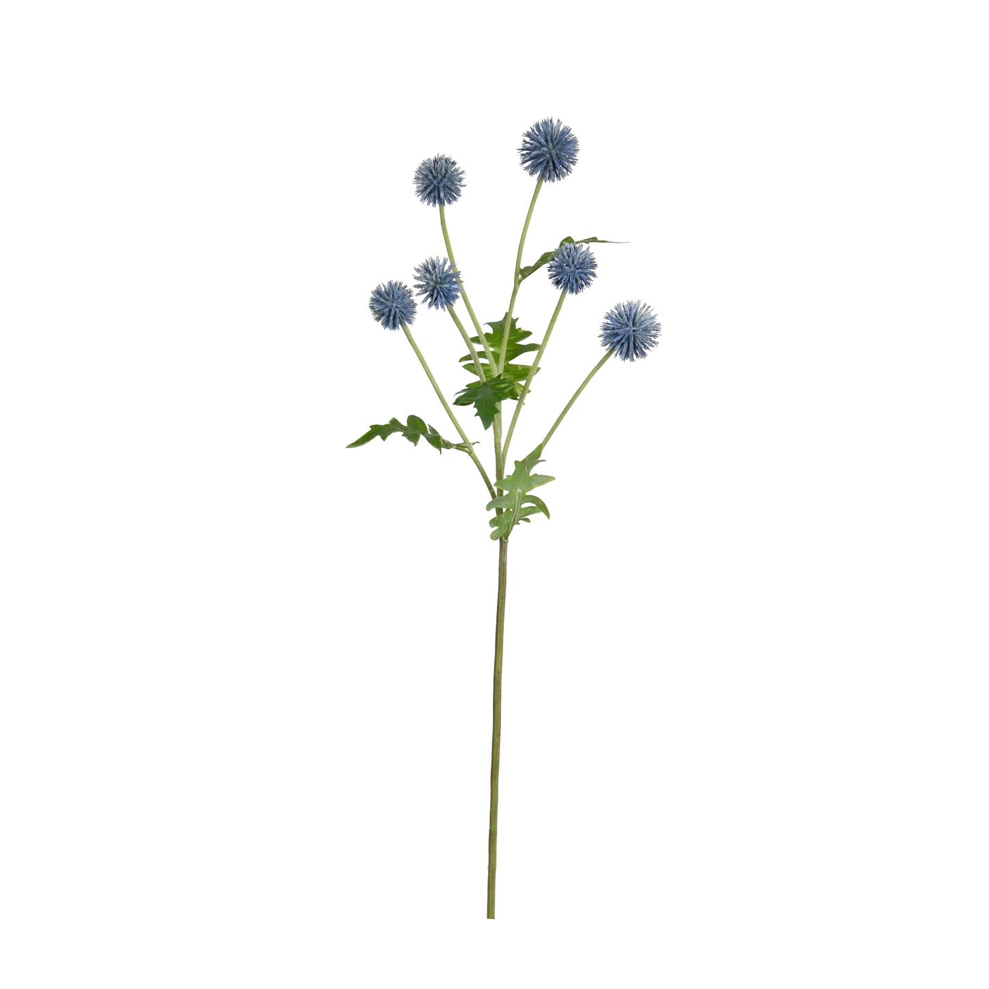 Blue Echinops Spray