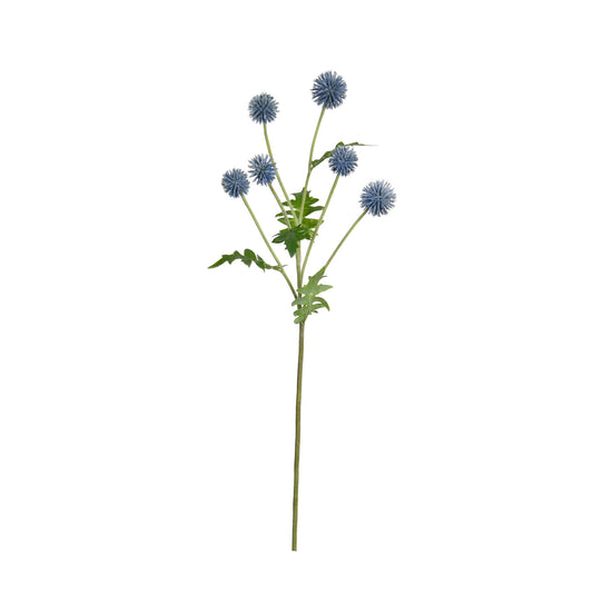 Blue Echinops Spray