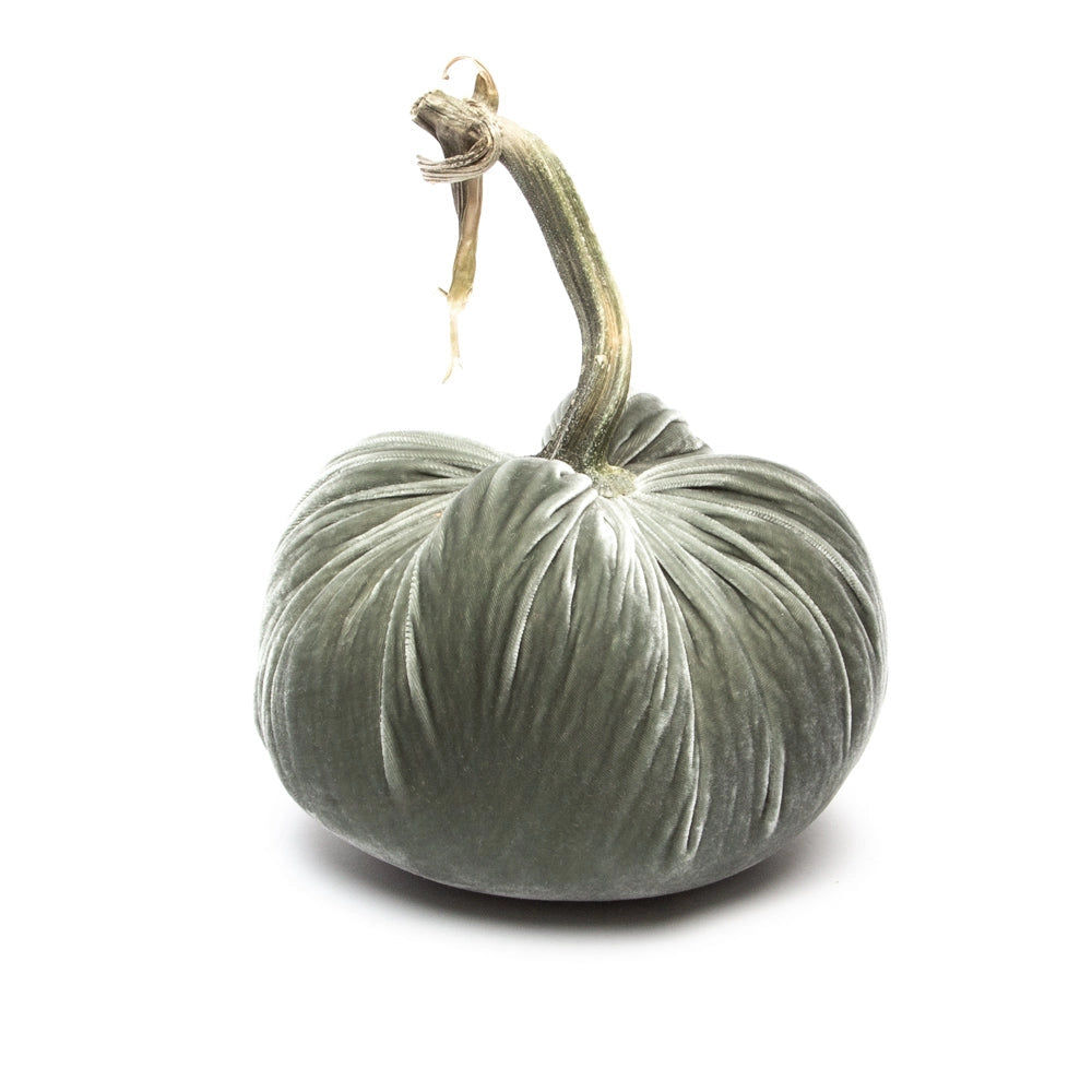 Velvet Pumpkin - Willow/6"