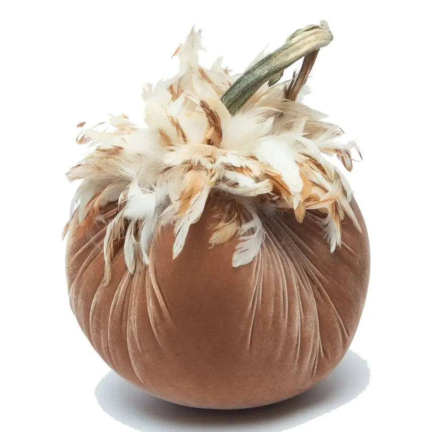 Velvet Pumpkin/Feathers - Latte/10"