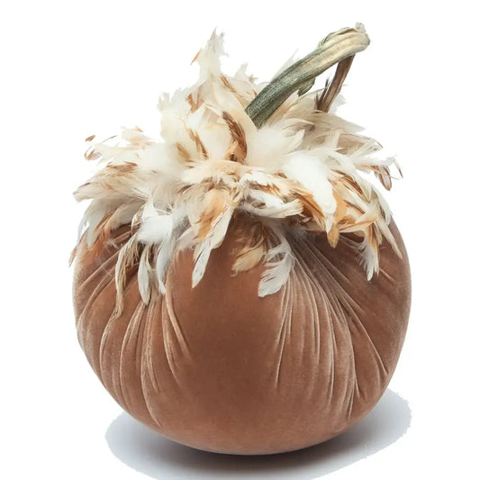 Velvet Pumpkin/Feathers - Latte/10"