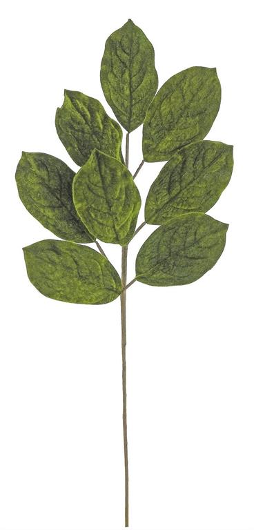 Velvet Magnolia Leaf Spray