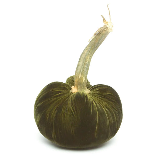 Velvet Pumpkin - Moss/6"