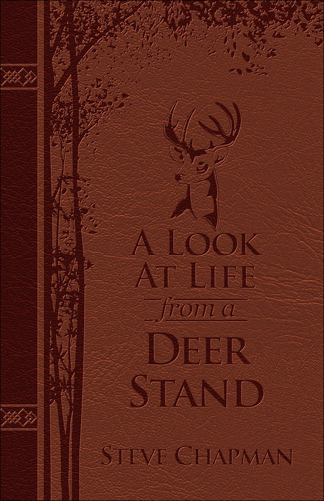 A Look At Life from A Deer Stand