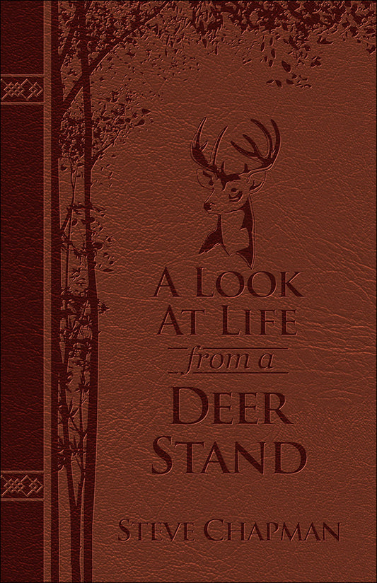 A Look At Life from A Deer Stand